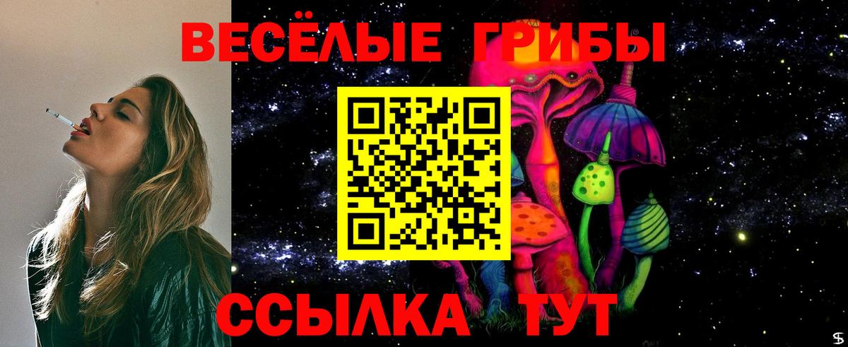 Псилоцибиновые грибы мицелий Видное