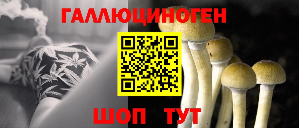 Видное  хочу   Вход с VPN  Псилоцибиновые грибы ЛСД 